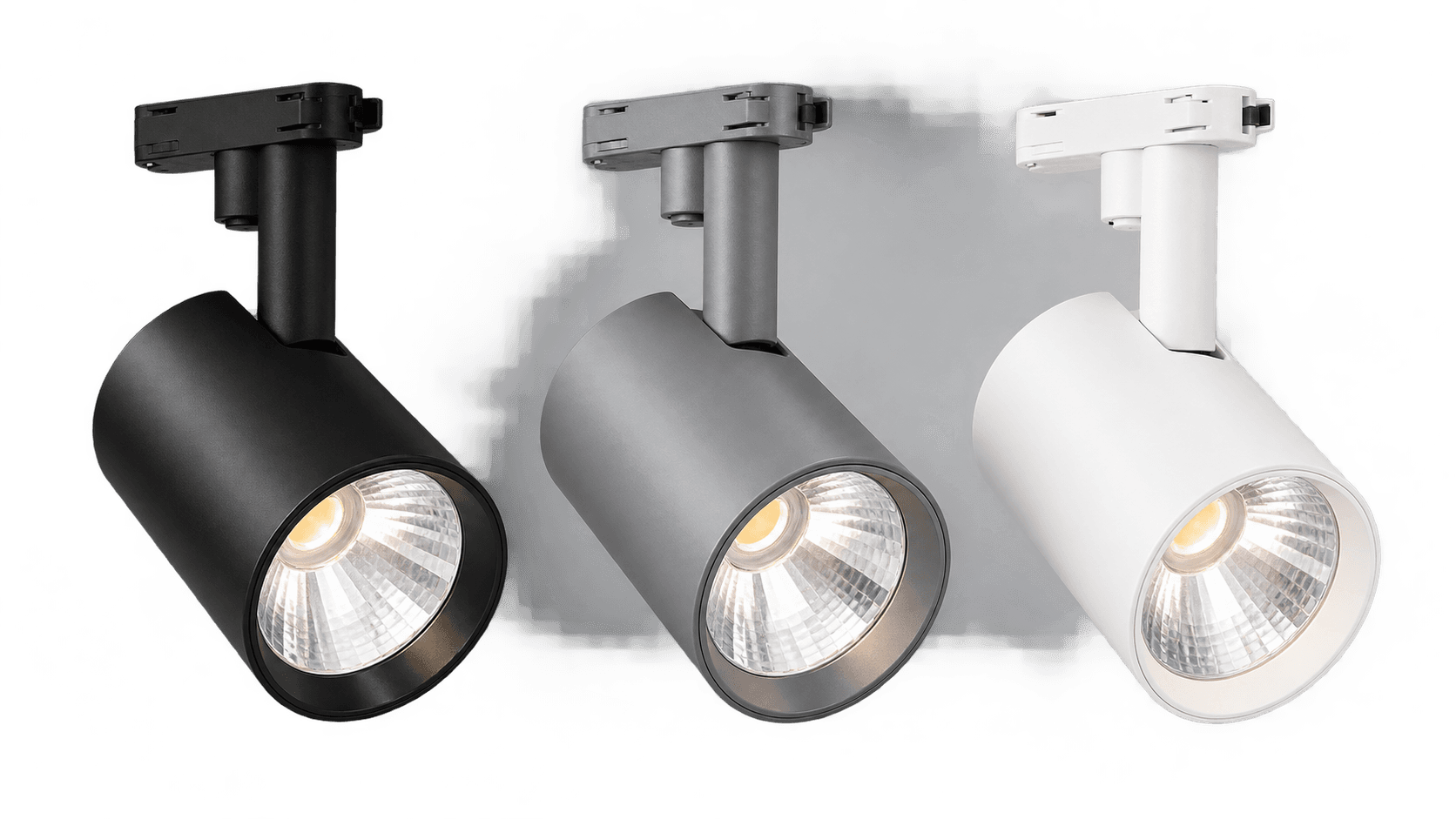 STN120 catalogue track spotlight